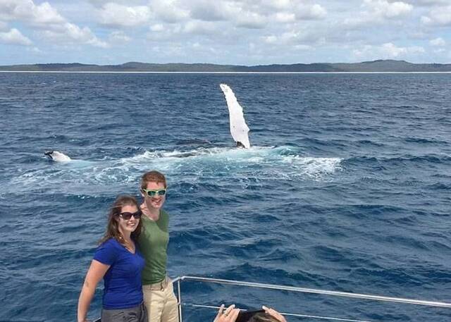 外国游客到澳洲观鲸 座头鲸拍浪欢迎