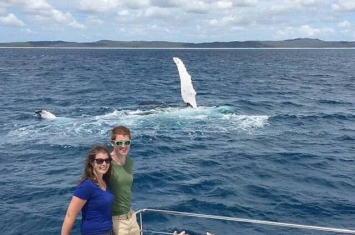 外国游客到澳洲观鲸 座头鲸拍浪欢迎