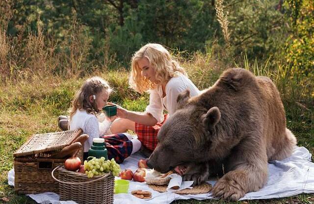 俄罗斯一对母女与千斤大棕熊野餐