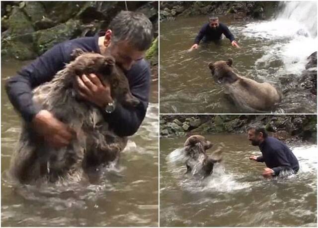 土耳其冒险家在河边看到野熊竟邀请它一起落河嬉水