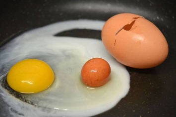 英夫妇打鸡蛋发现“蛋中蛋”