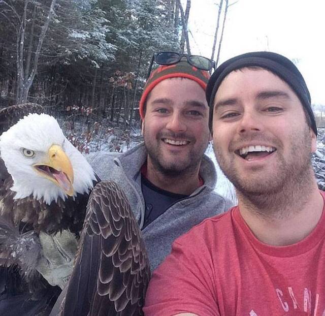 加拿大兄弟以视频形式纪录解救被困老鹰全过程