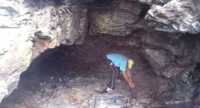 澳大利亚男子被虫子困在洞穴 千万只虫子形成 “虫墙”将出口堵住