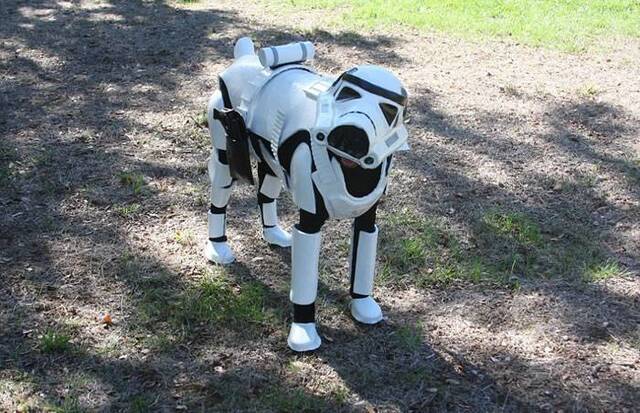 美国杜宾犬穿上《星球大战》帝国冲锋队士兵战服