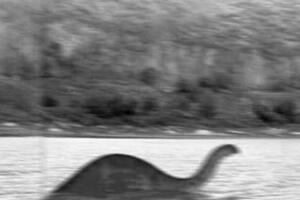 1981年刚果恐龙照片曝光，有人在非洲拍摄到活着的恐龙