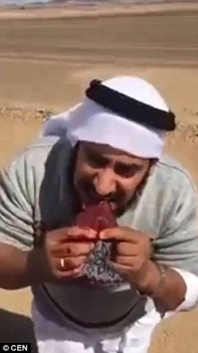 茹毛饮血：沙特阿拉伯猎人生吞血淋淋狼肉