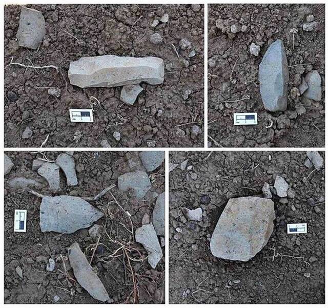 中肯旧石器联合考古项目2019年度考古工作进展
