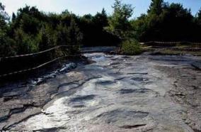 世界上最长的恐龙足迹，安省普拉涅镇发现155米恐龙足迹（蜥脚类恐龙足迹）