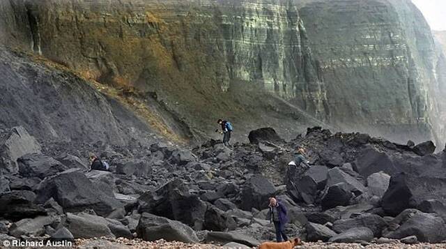 英国侏罗纪海岸悬崖大面积坍塌 当地掀起“淘化石热”