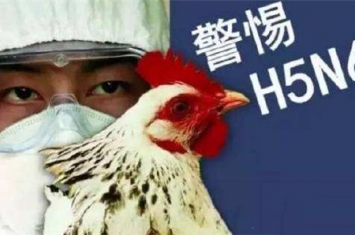 H5N6禽流感病毒是什么