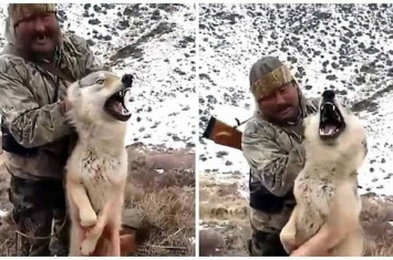 哈萨克斯坦猎人残忍折磨野狼