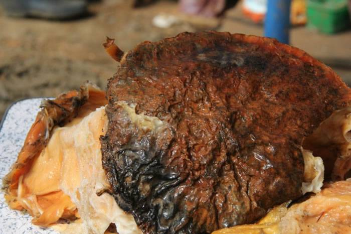 辽宁村民意外在山上捡到重达70公斤俗称肉灵芝的“太岁”