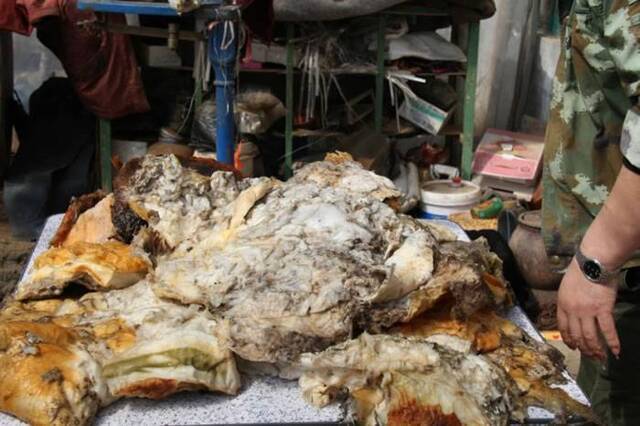 辽宁村民意外在山上捡到重达70公斤俗称肉灵芝的“太岁”