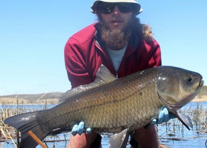 美国明尼苏达州水晶湖发现已存活112年的水牛鱼（胭脂鱼）