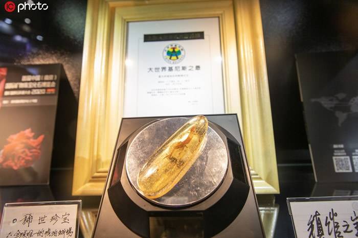 世界最大琥珀水胆蜥蜴化石亮相2019第二届中国国际进口博览会