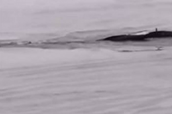 三峡大坝惊现“中国版尼斯湖水怪”？实为安徽省池州市贵池区江口轮渡码头防晒网