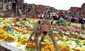 世界上最搞笑的节日，泰国猴子大餐节猴子竟是主人公