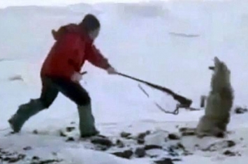 哈萨克斯坦猎人残忍虐待狼的视频引发强烈谴责