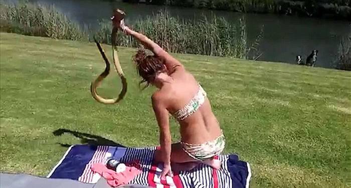 南非湖边晒日光浴的女孩徒手抓袭击她的眼镜蛇