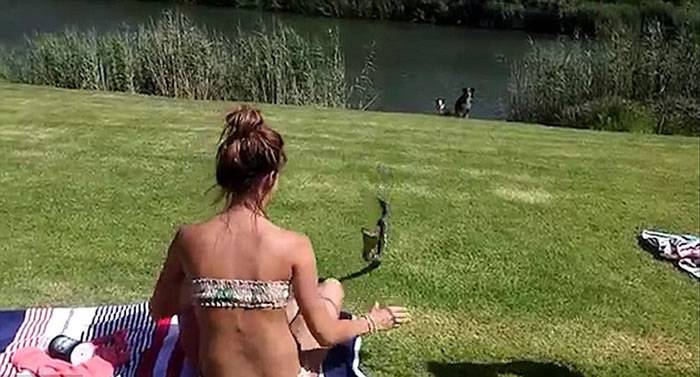 南非湖边晒日光浴的女孩徒手抓袭击她的眼镜蛇