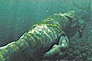 欧肯纳根水怪疑是中国真龙，巨型水怪马头蛇身长达150米