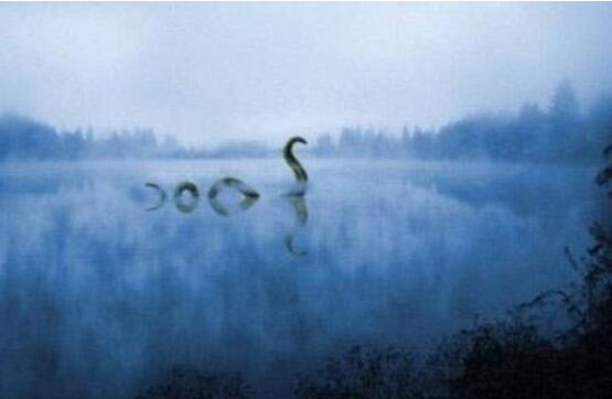 尼斯湖水怪到底是什么，揭秘尼斯湖水怪是蛇颈龙吗