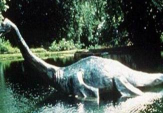 卡布罗龙是世上唯一证实的海怪，巨型水怪长达20米(头部像马)