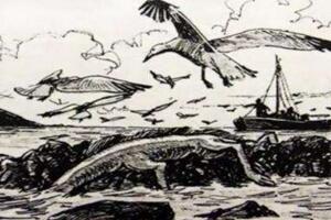 神秘生物斯特龙塞怪兽，体长18米疑是大海蛇或姥鲨尸体