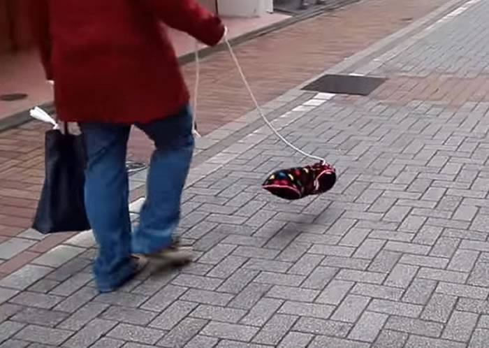 日本男子牵着“透明狗”散步