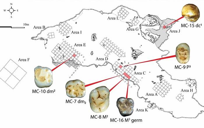 以色列北部加利利地区马诺特洞穴中发现6颗4万年前的人类牙齿化石
