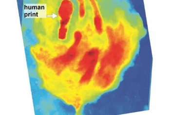 科学家使用3D雷达在12000年前猛犸象足迹中发现人类足迹化石