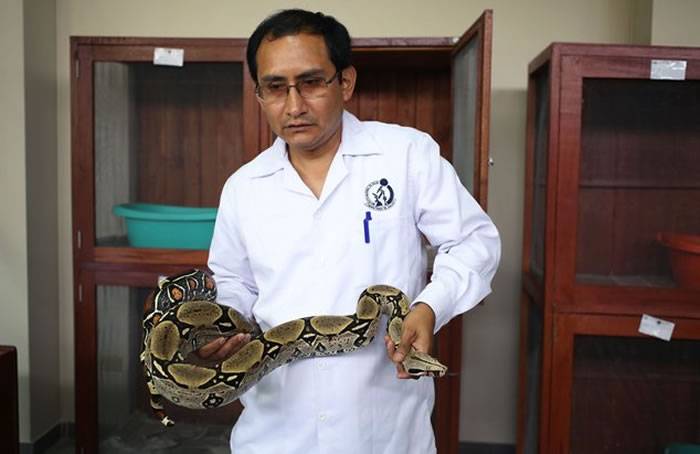 秘鲁成立毒蛇博物馆以帮助人们认识毒蛇
