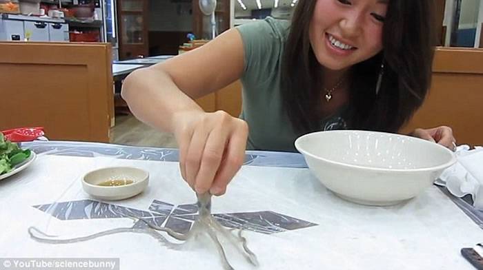 YouTube上热传女子在韩国活吞章鱼的视频