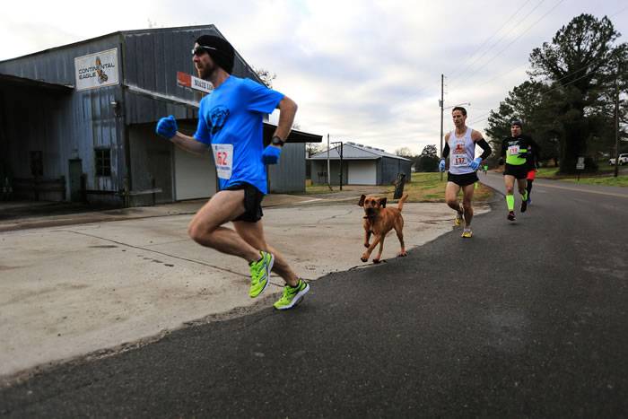 美国阿拉巴马州小狗Ludivine混进半程马拉松比赛拿到第七名