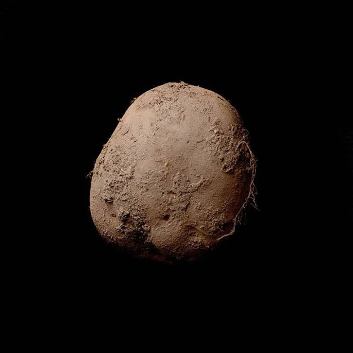 爱尔兰知名摄影师Kevin Abosch一幅土豆作品以75万英镑高价卖出