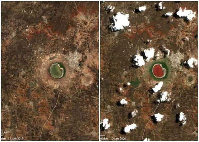 印度马哈拉施特拉邦的5.6万年陨石湖洛纳尔湖一夜变粉红 谜团待解