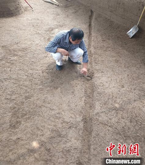 镐京遗址发现西周时期道路等遗迹
