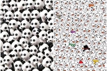 丹麦玩具商乐高推出新图要网民在熊猫堆中找出乐高狗
