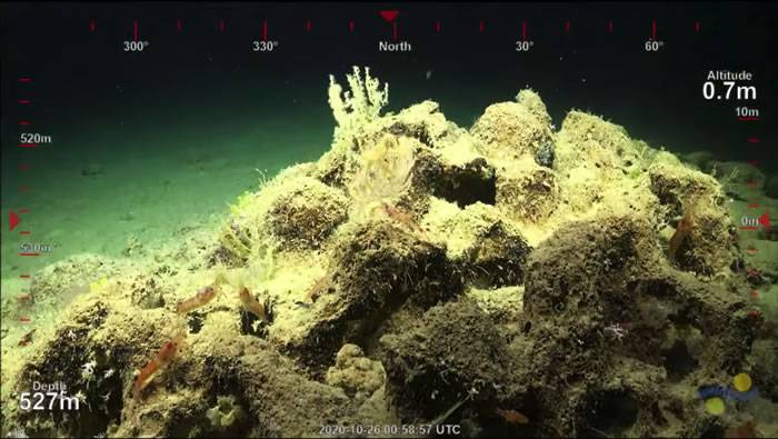 澳大利亚东北海岸大堡礁发现500米高珊瑚礁 高度超过帝国大厦