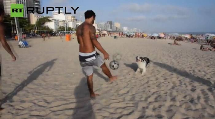 巴西3岁边境牧羊犬Scotch在沙滩“狂秀”惊人球技视频走红网络