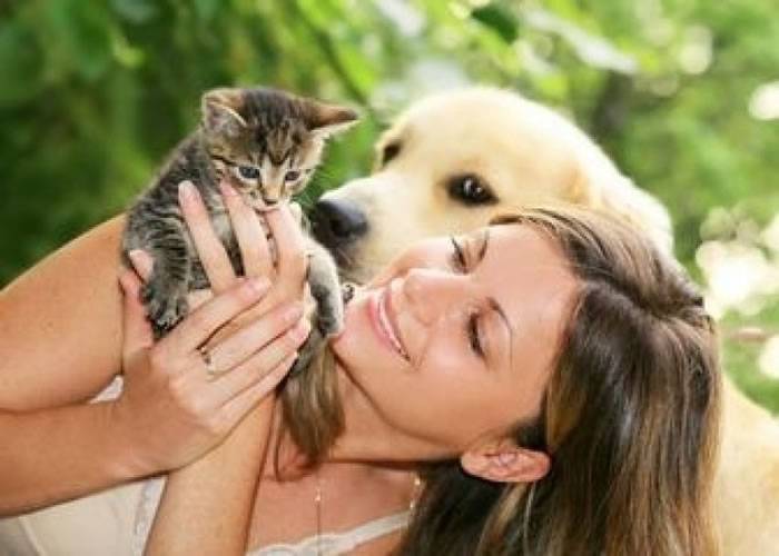 英国研究发现狗狗爱主人的程度是猫咪的5倍