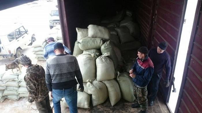 俄罗斯警方破获惊人盗猎案：火车货箱37个袋子里面藏527个熊掌