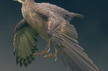 日本福井县发现距今约1.2亿年的鸟类化石“Fukuipteryx prima”