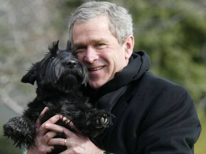 美国历届总统爱养汪星人 罗斯福曾派驱逐舰也要把爱犬找回来