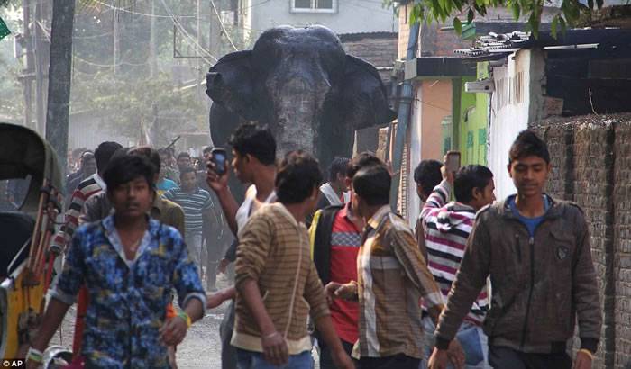 印度西孟加拉邦上演“进击的大象”闯城镇