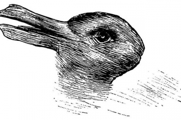 美国心理学家设计“鸭兔图” 发现第二只动物的时间可反映大脑“思考速度”