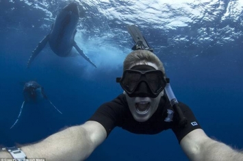 水下摄影师Craig Parry在澳大利亚与两头40吨重巨型鲸鱼玩自拍
