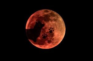 揭秘天狗食月的科学解释，太阳光投射月面呈红铜色所致