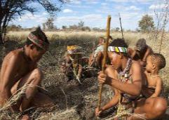 非洲原始民族布须曼人，身材矮小精悍或是人类祖先