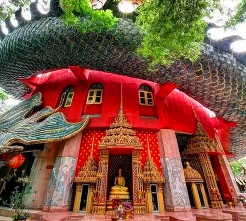 泰国最神秘的龙庙